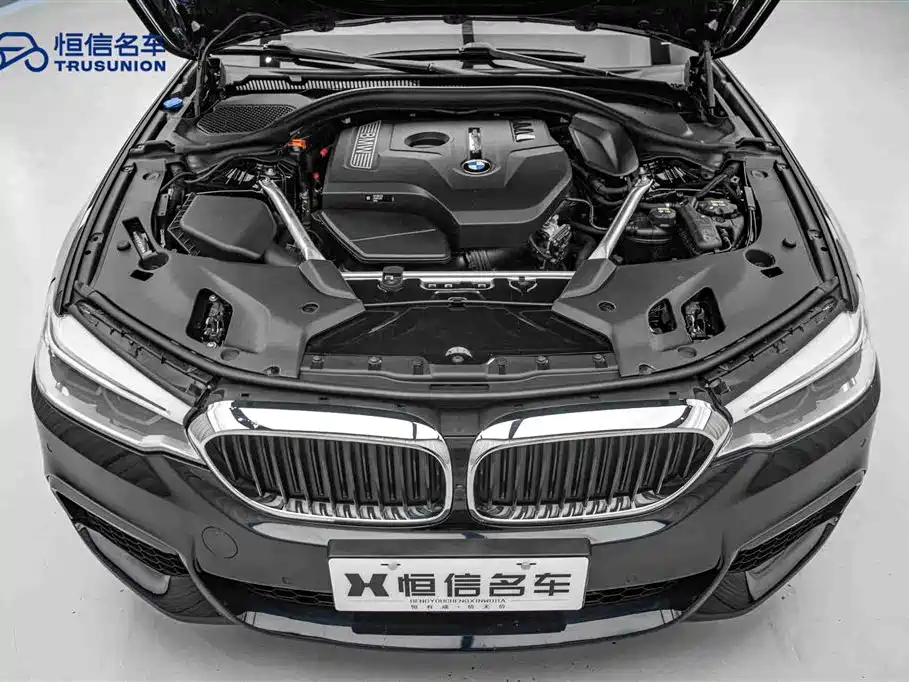 BMW 5 Series 2019 530Li Leading Edition M Sport Package