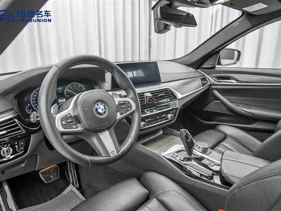 BMW 5 Series Import 2019 530i M Sport Package