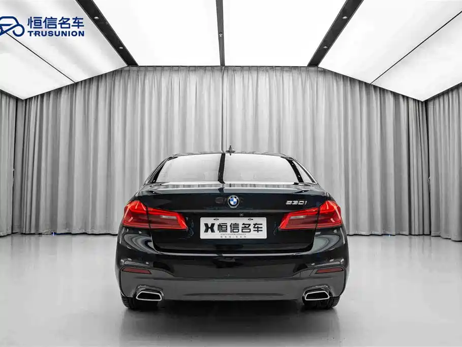 BMW 5 Series Import 2019 530i M Sport Package