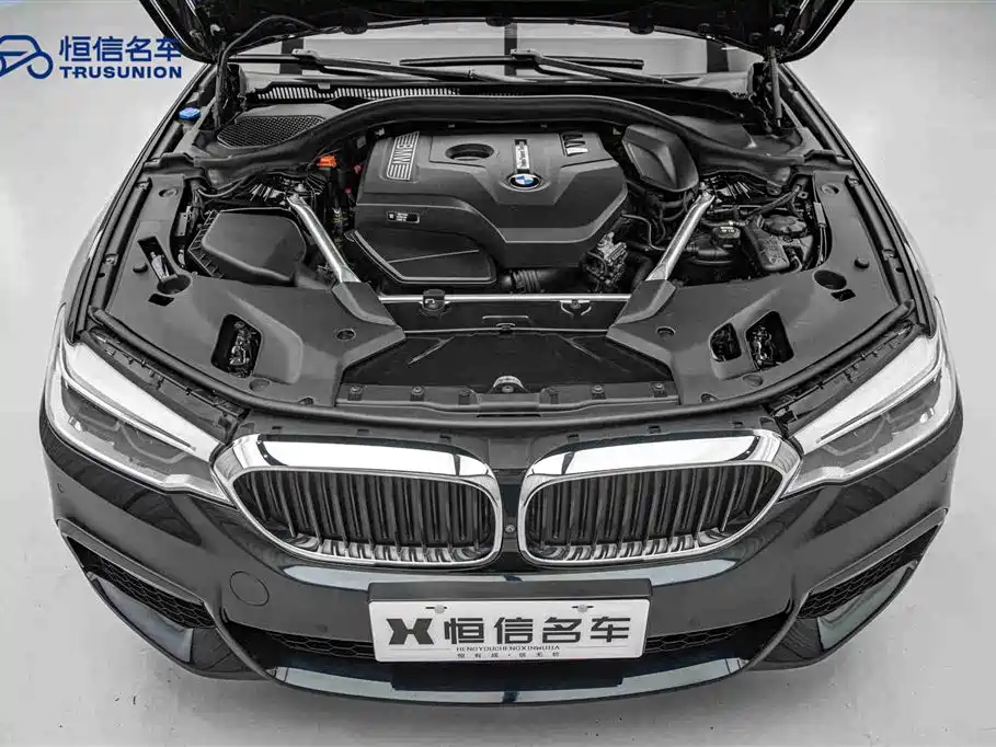 BMW 5 Series Import 2019 530i M Sport Package