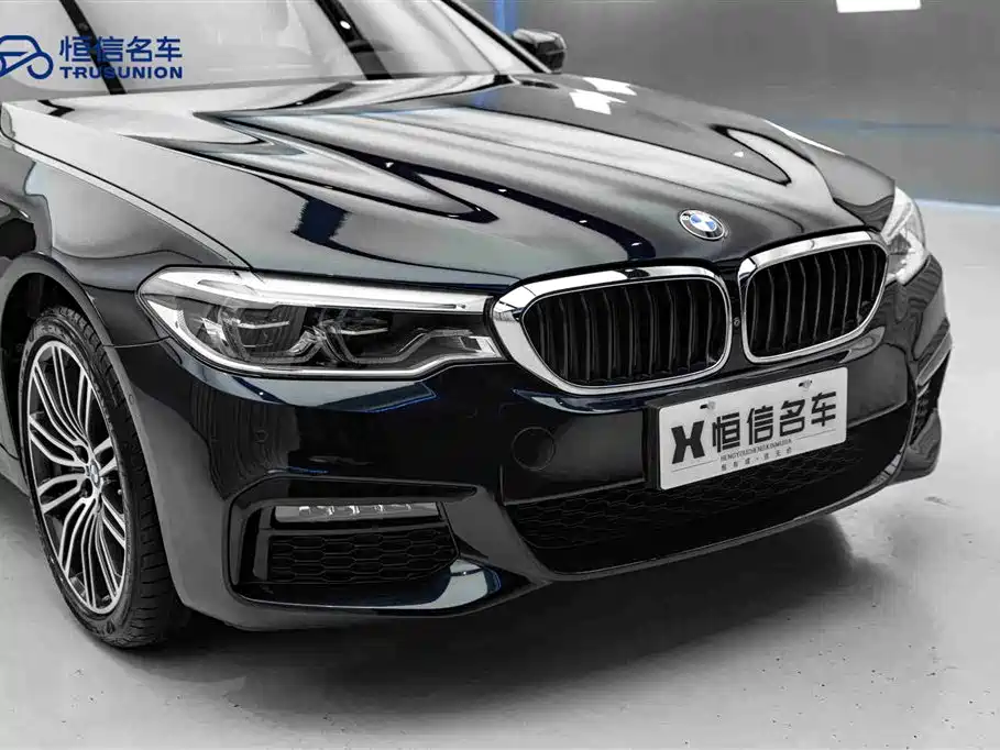 BMW 5 Series Import 2019 530i M Sport Package