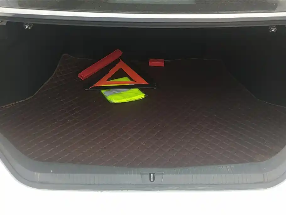 Avalon 2019 2.0L XLE China VI