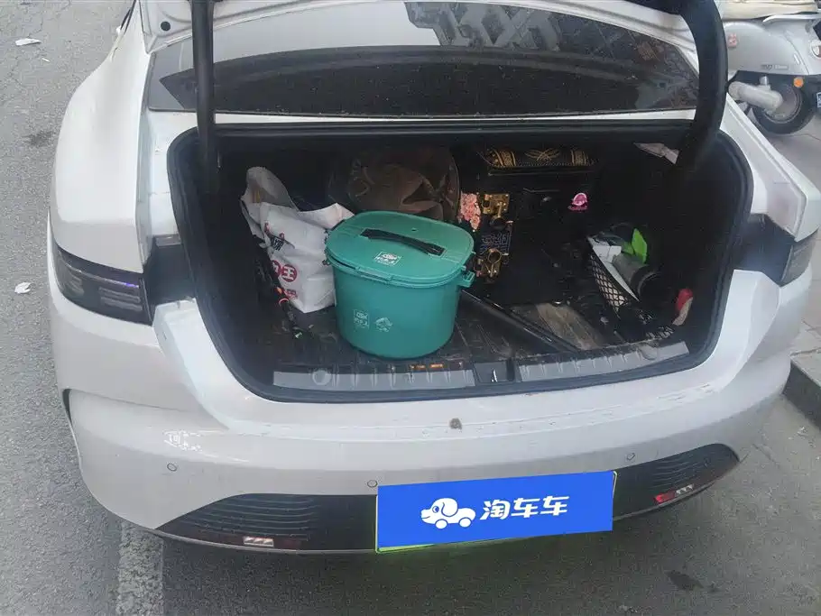 BYD Destroyer 05 2024 Honor Edition DM-i 55KM Luxury