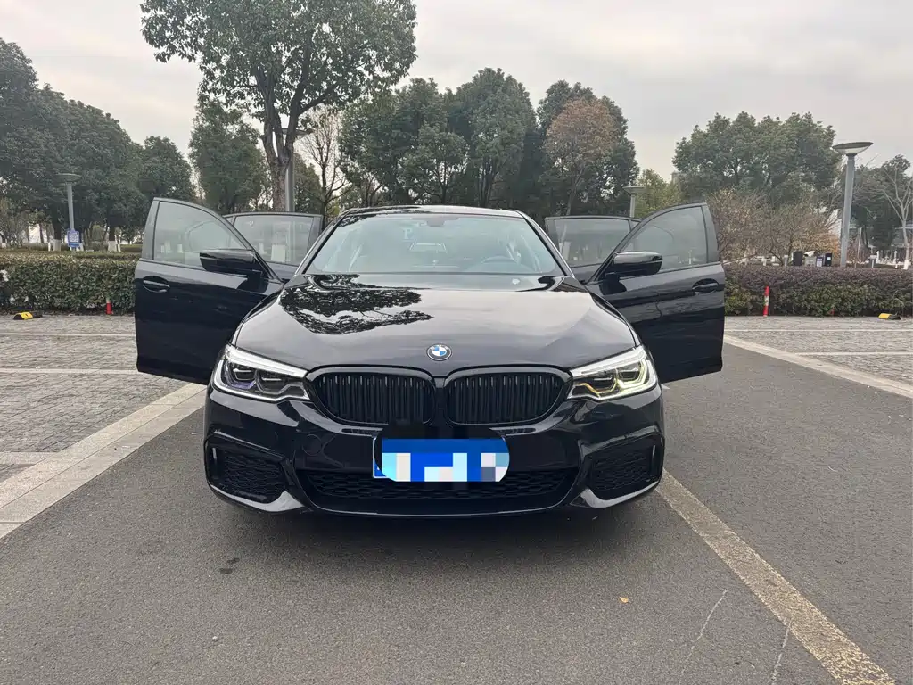 BMW 5 Series 2020 530Li Leading Edition M Sport Package - фото 4
