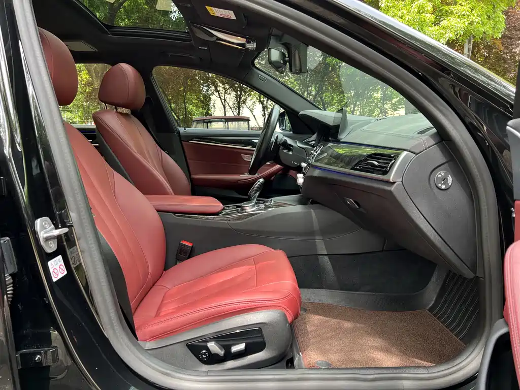 BMW 5 Series 2020 530Li Leading Edition M Sport Package - фото 10