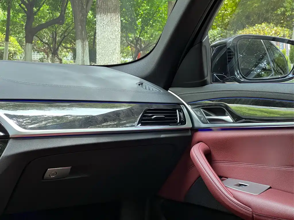 BMW 5 Series 2020 530Li Leading Edition M Sport Package - фото 20