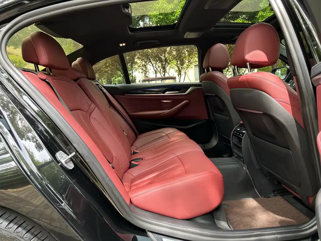 BMW 5 Series 2020 530Li Leading Edition M Sport Package - фото 11