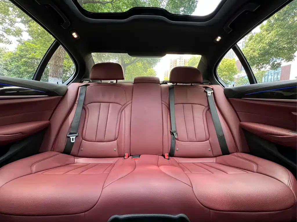 BMW 5 Series 2020 530Li Leading Edition M Sport Package - фото 13