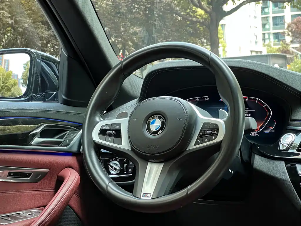 BMW 5 Series 2020 530Li Leading Edition M Sport Package - фото 16
