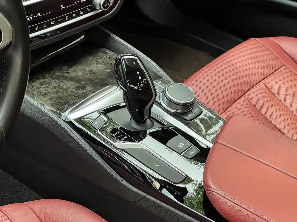 BMW 5 Series 2020 530Li Leading Edition M Sport Package - фото 18