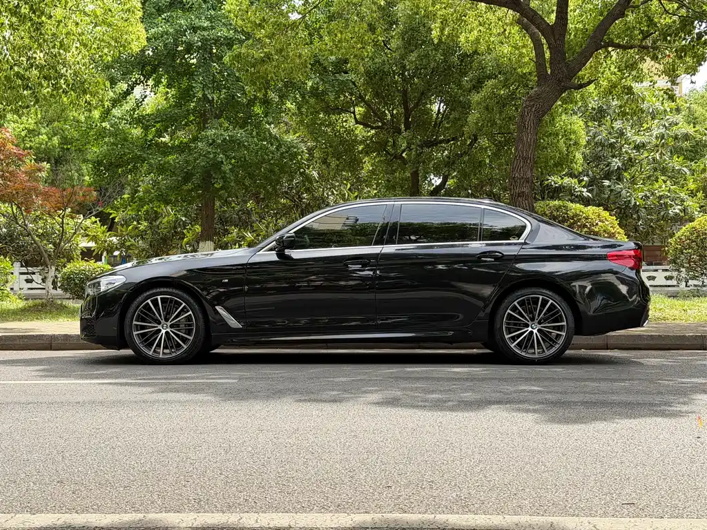BMW 5 Series 2020 530Li Leading Edition M Sport Package - фото 7