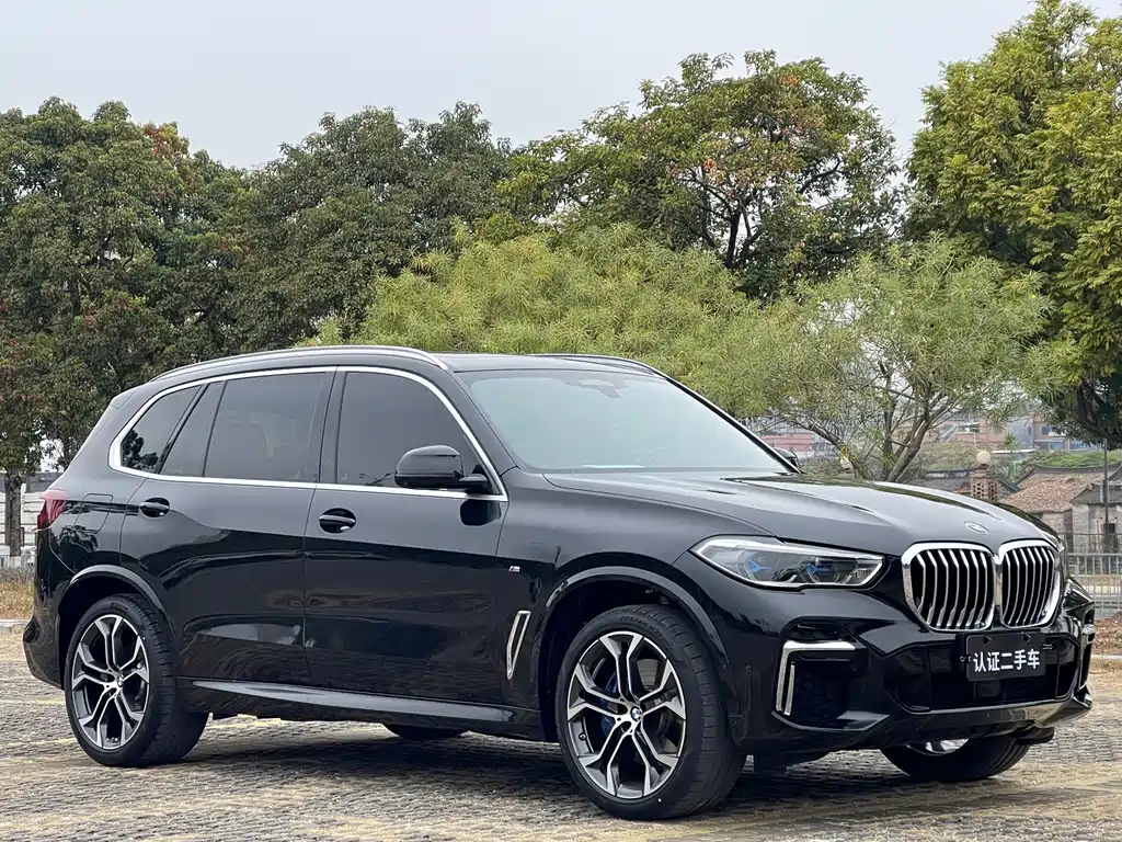 BMW X5 2022 Facelift xDrive40Li M Sport Package - фото 3