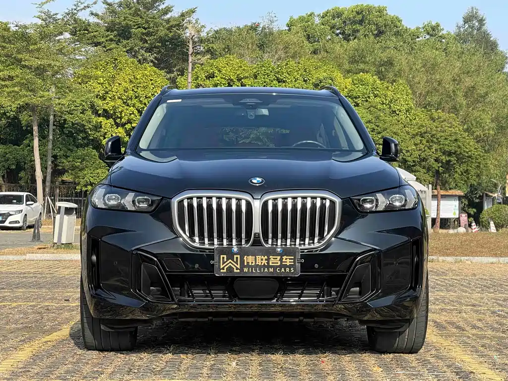 BMW X5 2023 xDrive 30Li Exclusive M Sport Night Edition - фото 2