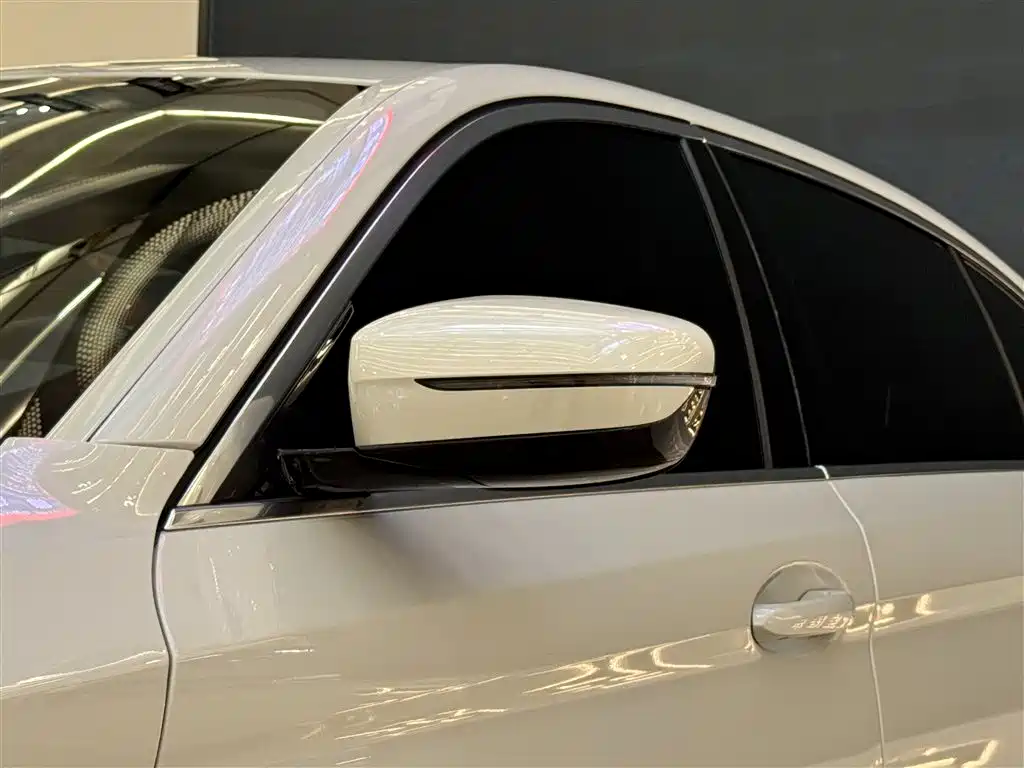 BMW 5 Series 2021 Facelift 530Li Leading Edition Luxury Package - фото 24
