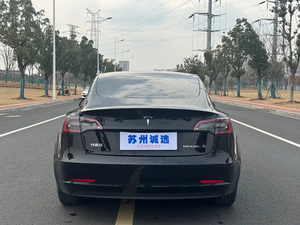 Tesla Model 3 2022 Rear-Wheel Drive