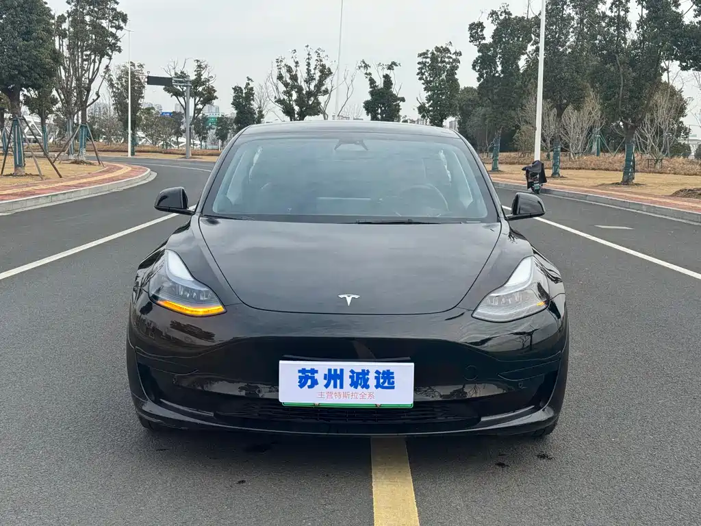 Tesla Model 3 2022 Rear-Wheel Drive