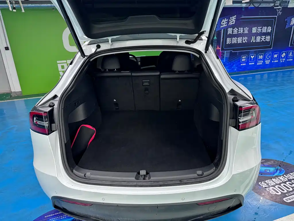 Model Y 2021 Long Range AWD