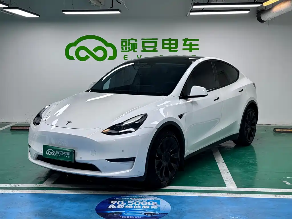 Model Y 2021 Long Range AWD