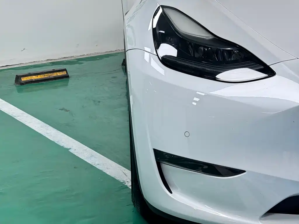 Model Y 2021 Long Range AWD