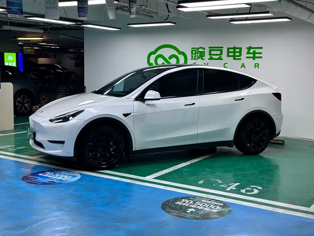 Model Y 2021 Long Range AWD