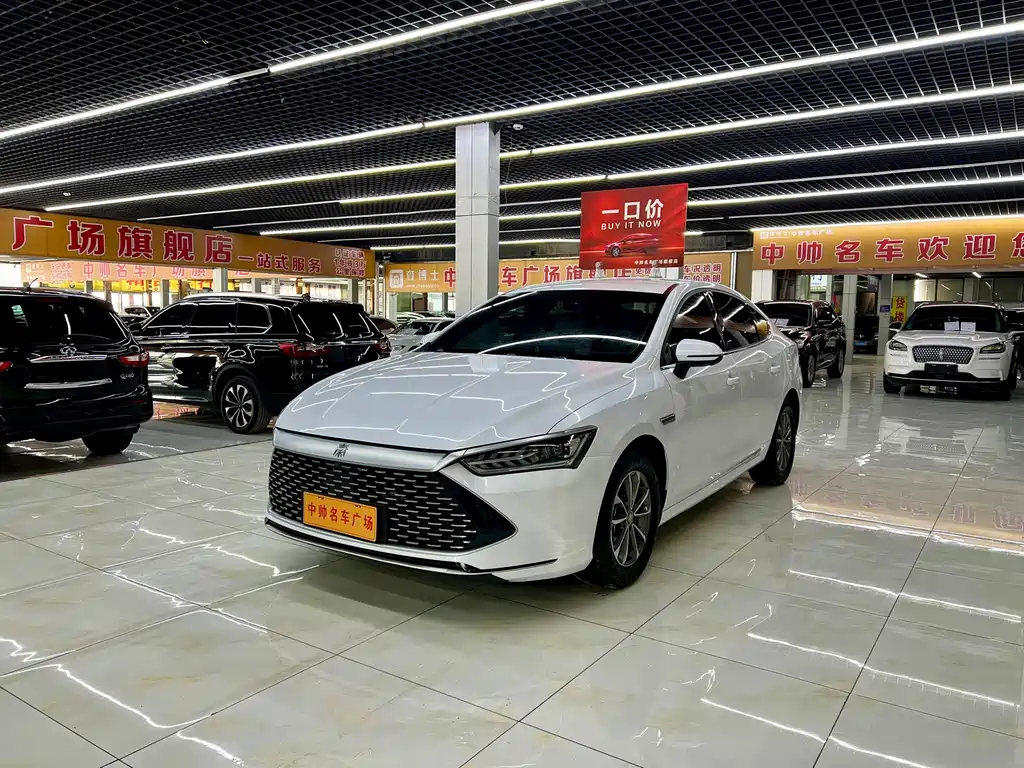 BYD Qin PLUS DM-i 2024 Honor Edition 55KM Leading Type