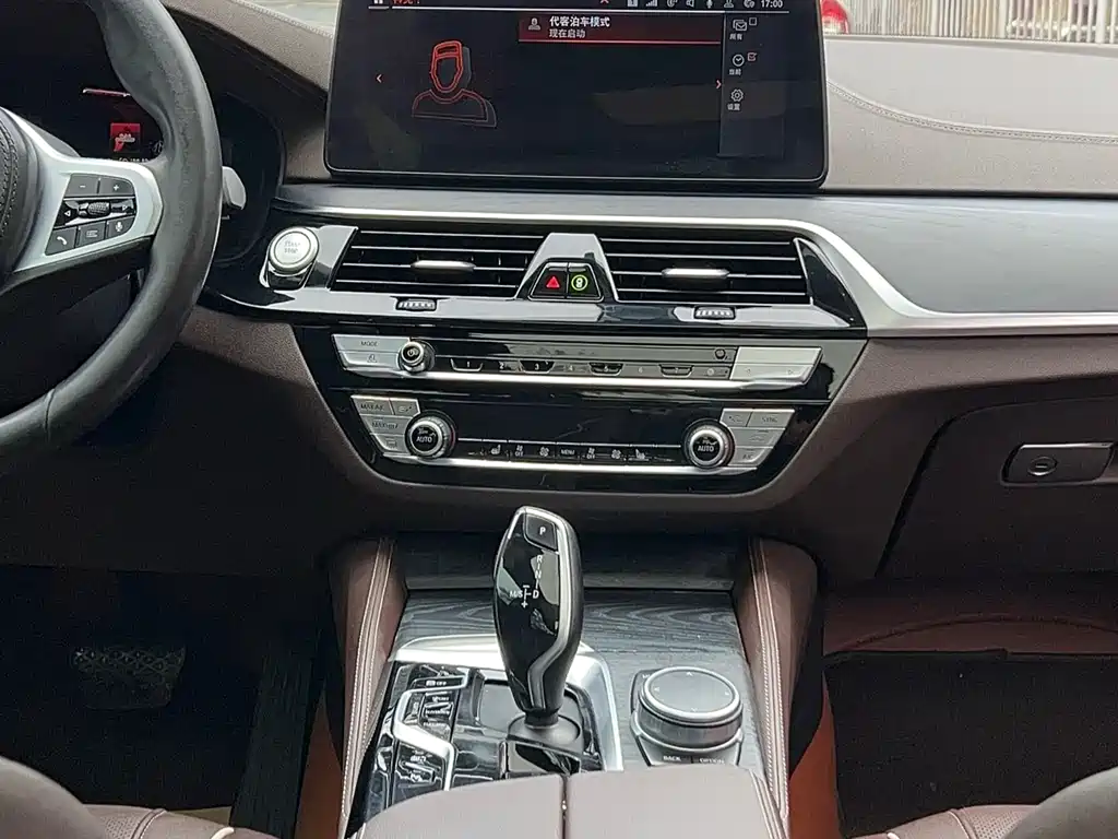 BMW 5 Series PHEV 2021 535Le M Sport Package - фото 15