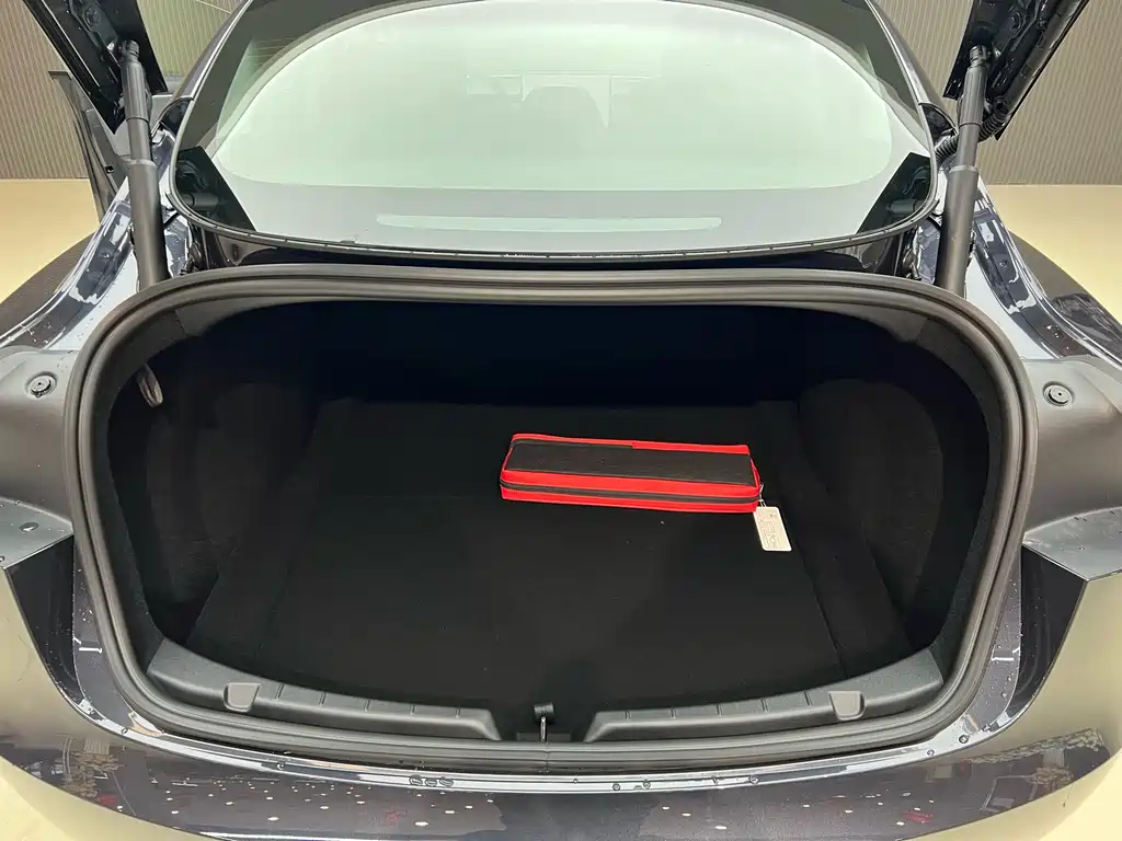 Model 3 RWD (2025 Refresh)