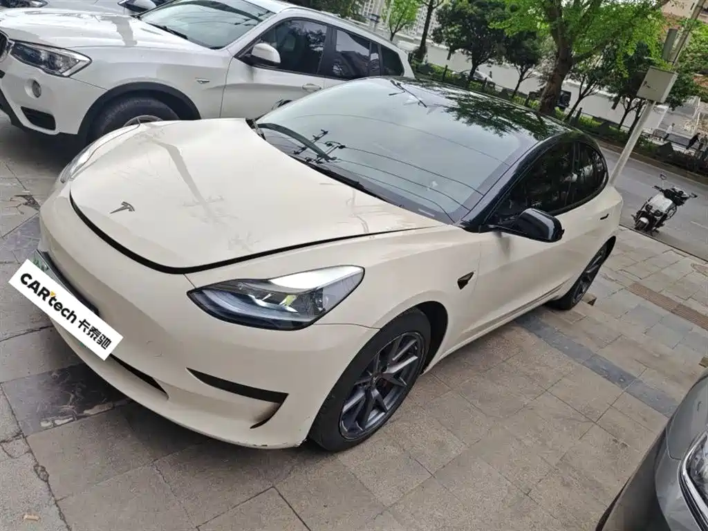 Tesla Model 3 2021 Standard Range Plus RWD 3D6