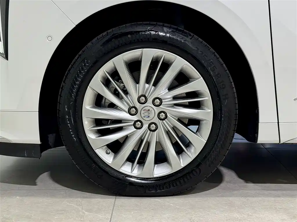 Buick Century 2023 2.0T 6-Seater Yunshi Edition