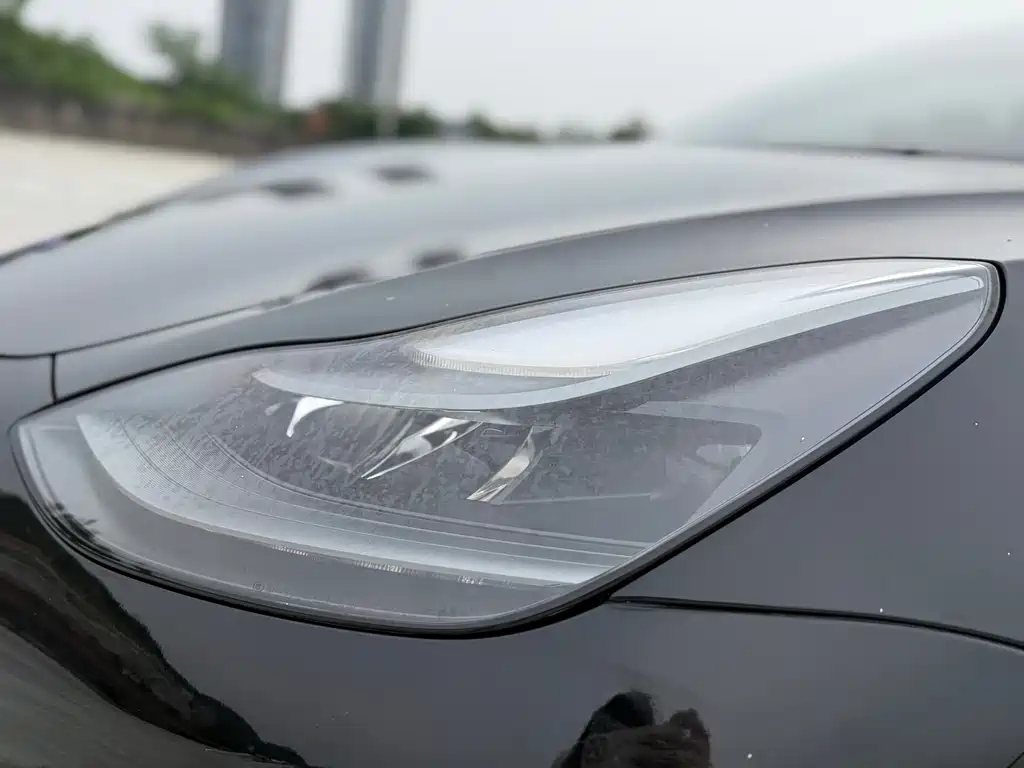 Tesla Model 3 2021 Standard Range Plus RWD