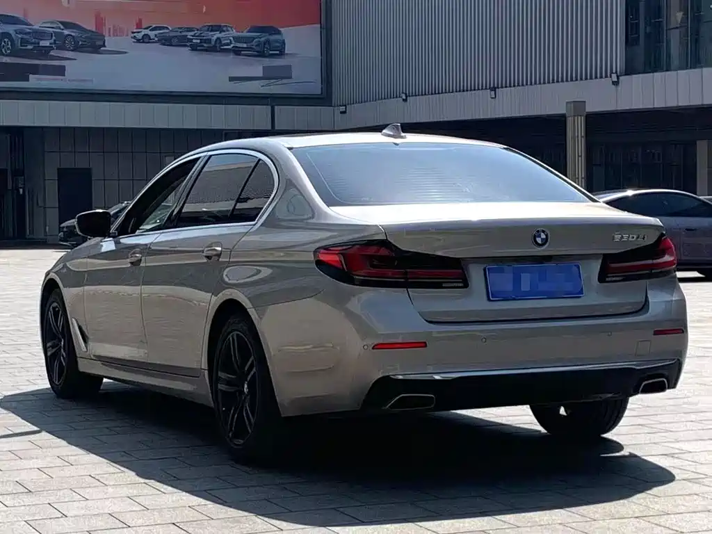 BMW 5 Series 2021 530Li Leading Edition Luxury Package - фото 6