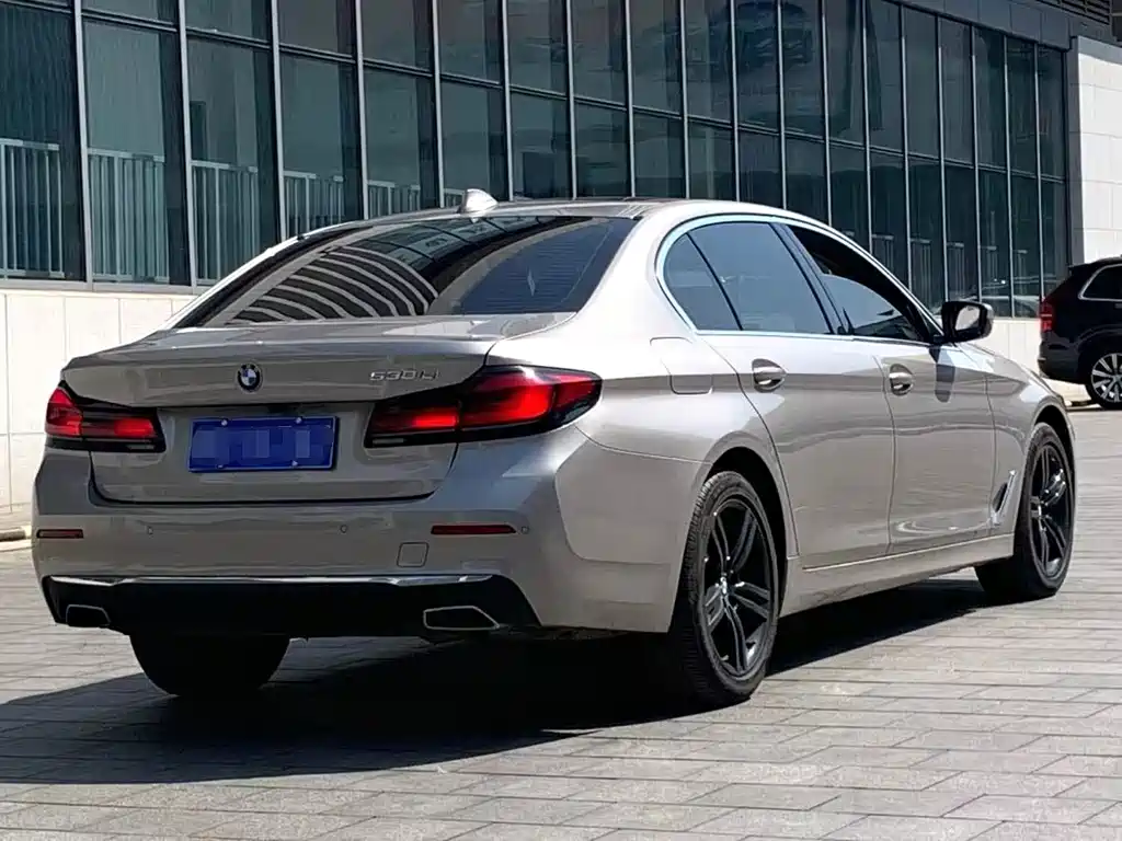 BMW 5 Series 2021 530Li Leading Edition Luxury Package - фото 8