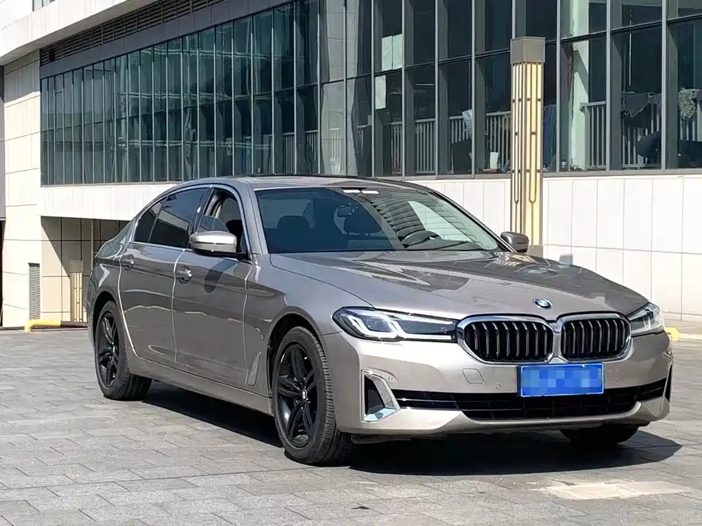 BMW 5 Series 2021 530Li Leading Edition Luxury Package - фото 2