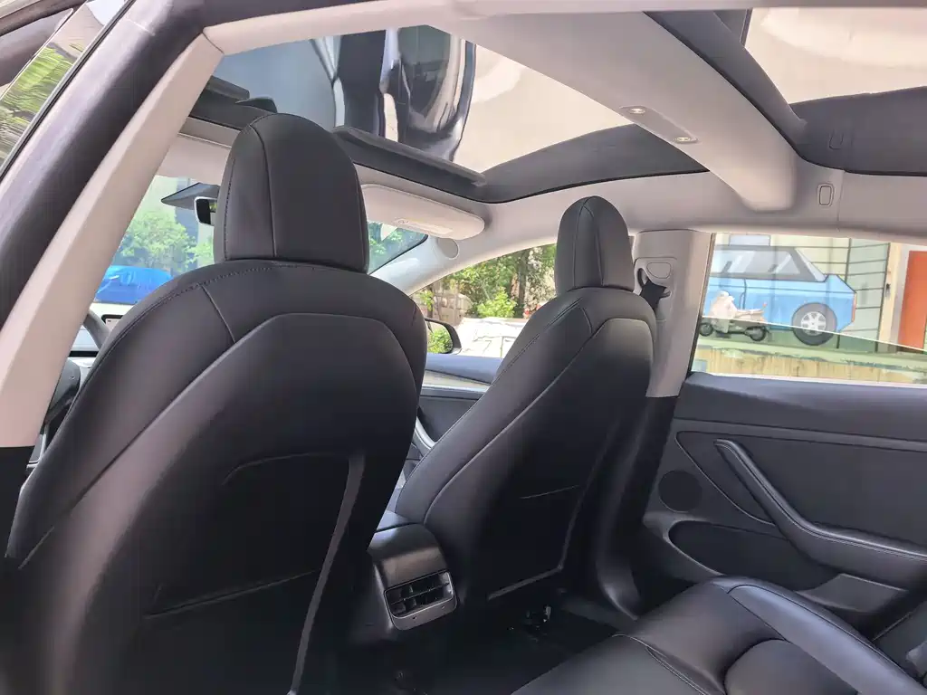 Tesla Model 3 2022 Rear-Wheel Drive