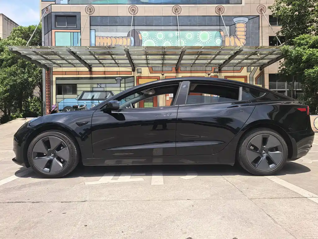 Tesla Model 3 2022 Rear-Wheel Drive