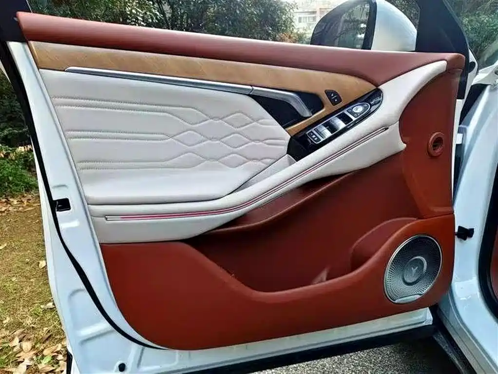 Voyah FREE 2024 Long Range Intelligent Driving Edition