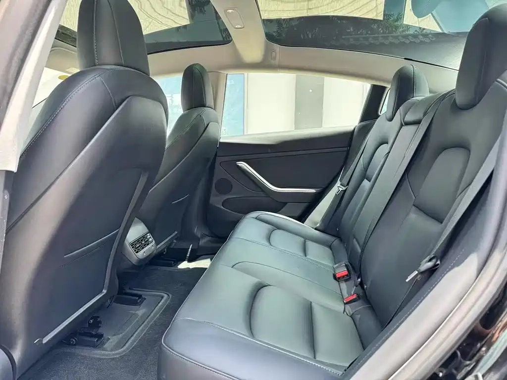 Model 3 2022 Rear-Wheel Drive