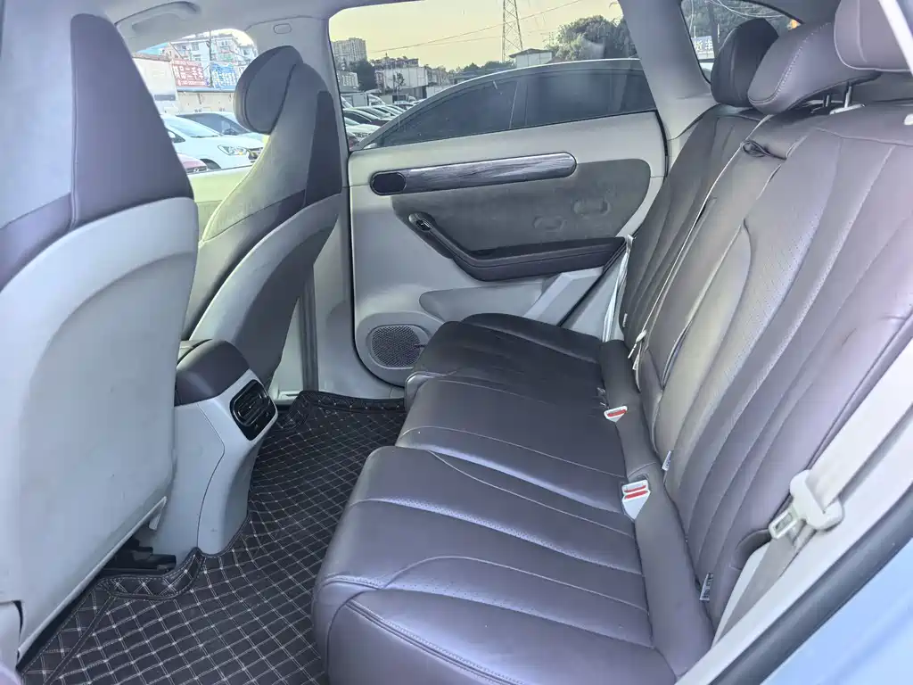 Leapmotor C11 2021 Premium Edition