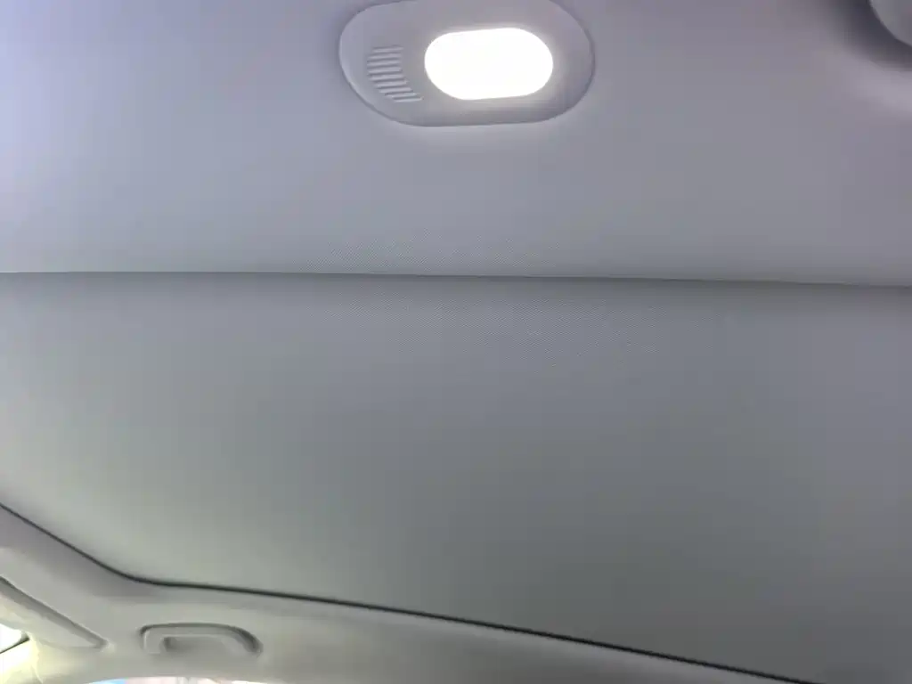 Leapmotor C11 2021 Premium Edition