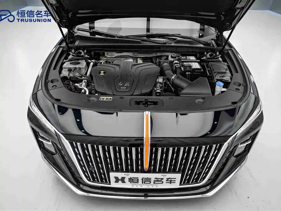 Hongqi H5 2024 2.0T Automatic ZhiLian QiChang Edition