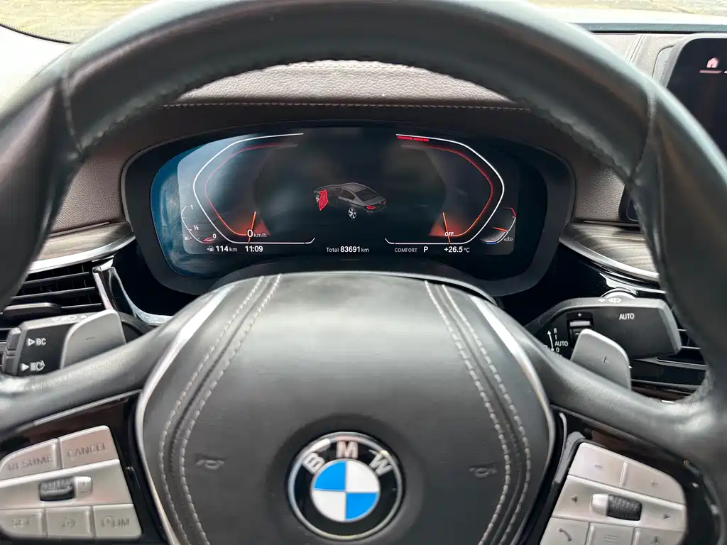 BMW 5 Series 2021 530Li Leading Edition Luxury Package - фото 12