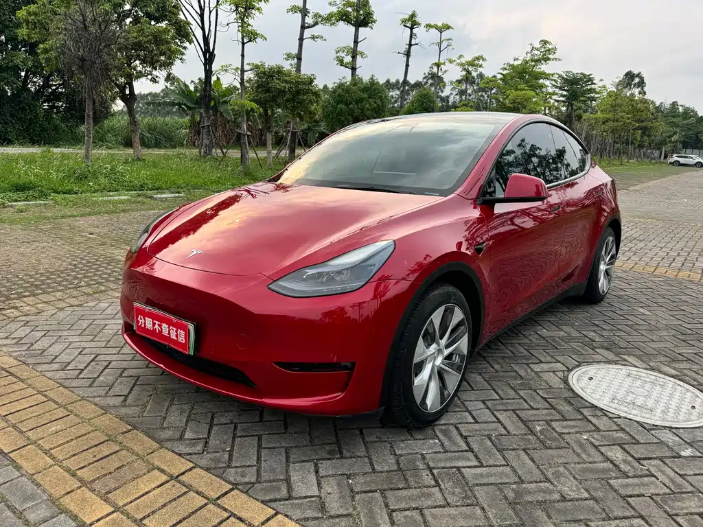 Tesla Model Y 2022 RWD