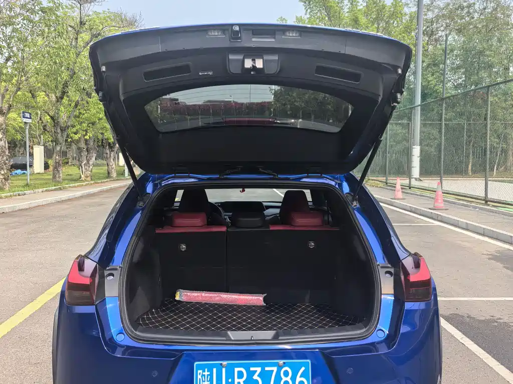 Lexus UX 2020 200 F SPORT