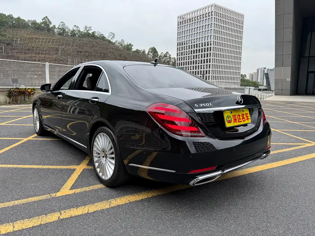 Mercedes-Benz S-Class 2020 S 350 L Business Edition Zhenzang Edition