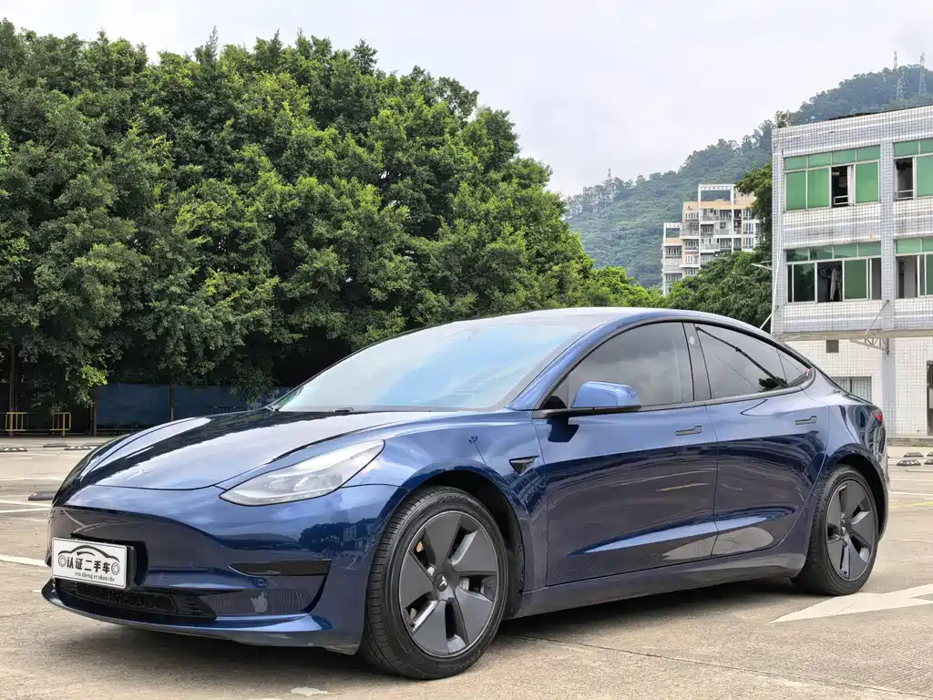 Tesla Model 3 2021 Standard Range Plus RWD
