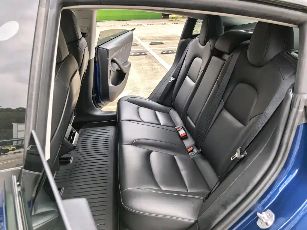 Tesla Model 3 2021 Standard Range Plus RWD