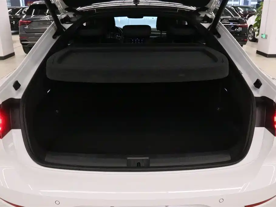 FAW-Volkswagen CC 2024 380TSI Duomu Zhongxiang Edition