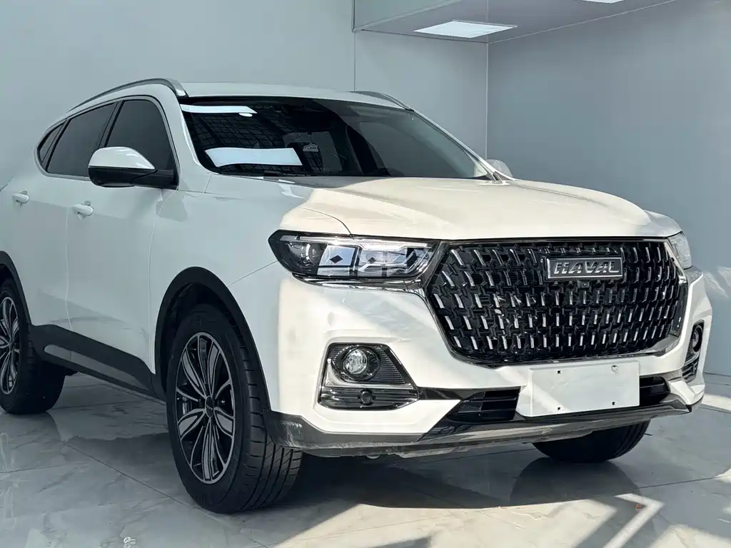Haval H6 2023 Guochao Edition 1.5T Auto Champion Edition