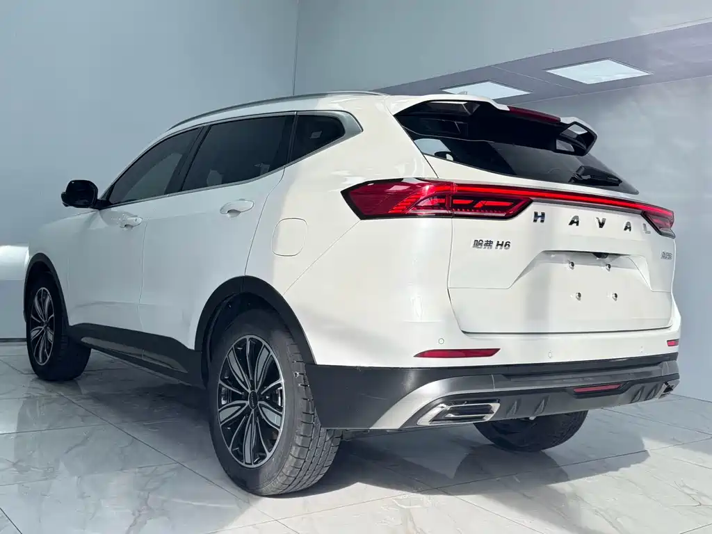 Haval H6 2023 Guochao Edition 1.5T Auto Champion Edition