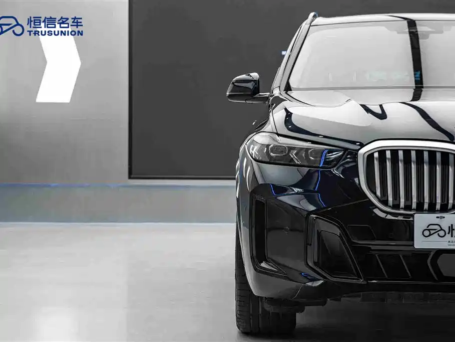 BMW X5 2023 xDrive 30Li Exclusive M Sport Night Edition - фото 8